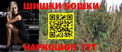 дмт Краснознаменск