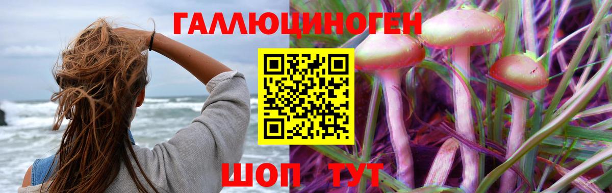 Псилоцибиновые грибы Psilocybine cubensis Железногорск
